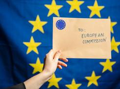 Lettera alla Commissione (ANSA)