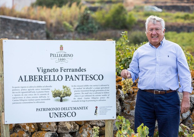 Benedetto Renda, presidente Consorzio Vini DOC Pantelleria © ANSA