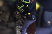 Maltempo: crolla casa a Catania polizia e pompieri scavano tra macerie e salvano anziana