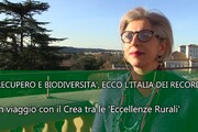 Recupero e biodiversità, ecco l’Italia dei record '