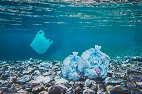 Plastica depositata su un fondale marino (fonte: SMR, Pixahive)