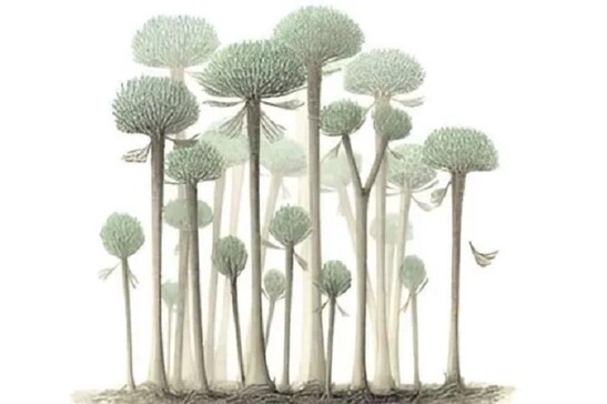 Rappresentazione artistica degli aleri della più antica foresta finora nota (fonte: Peter Giesen/Chris Berry)