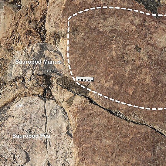 Le incisioni su pietra vicine alle orme lasciate da dinosauri sauropodi (fonte: Scientific Reports 2024. DOI: 10.1038/s41598-024-56479-3)
