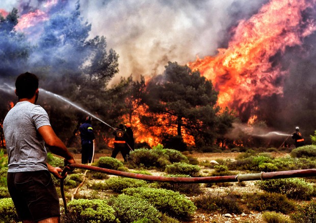Gli incendi in Grecia © EPA