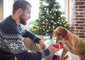 un cane riceve il suo regalo di Natale foto svetikd iStock. © Ansa