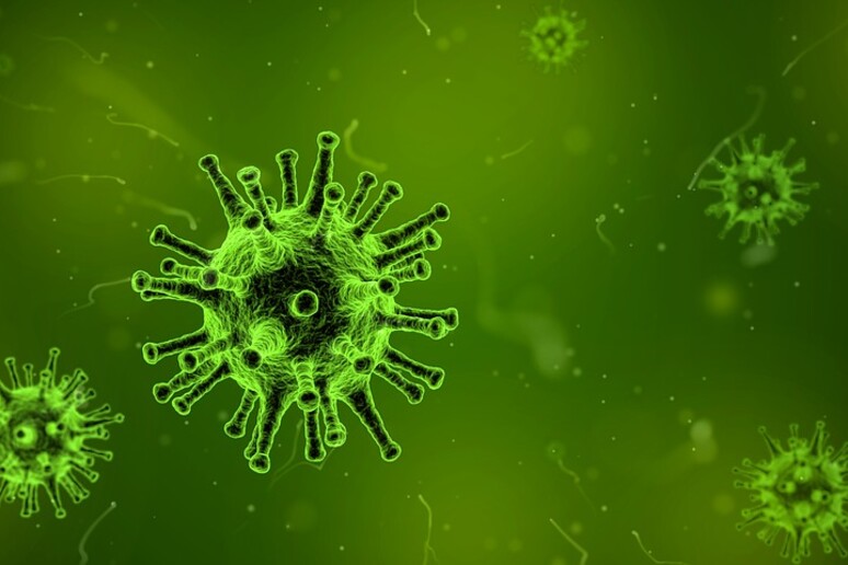 L 'intelligenza artificiale ha scoperto 6.000 specie di virus (fonte: Pixabay) - RIPRODUZIONE RISERVATA