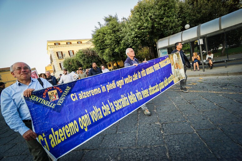 Aborto: marcia  'No194 ' a Caserta, diciamo s alla vita - RIPRODUZIONE RISERVATA