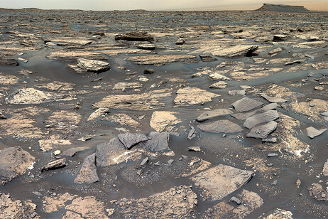 Tracce di un antico lago simile a quelli terrestri sono state trovate nel cratere Gale su Marte (fonte: NASA/JPL-Caltech/MSSS)